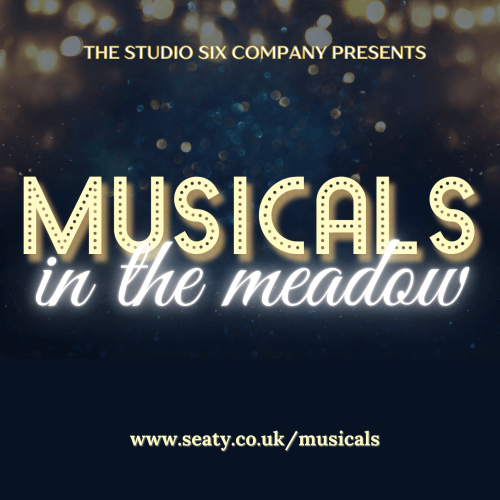 Musicals in the Meadow
